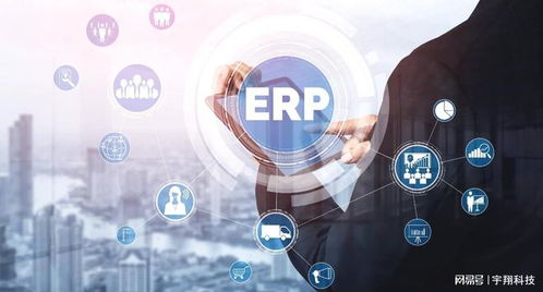 erp系統(tǒng)的實施對企業(yè)的重要性